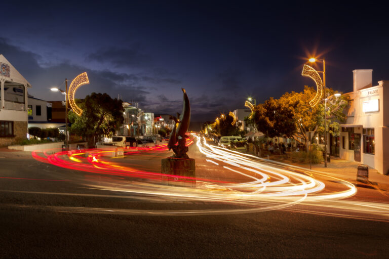 Connect at the Plett ARTS Festival