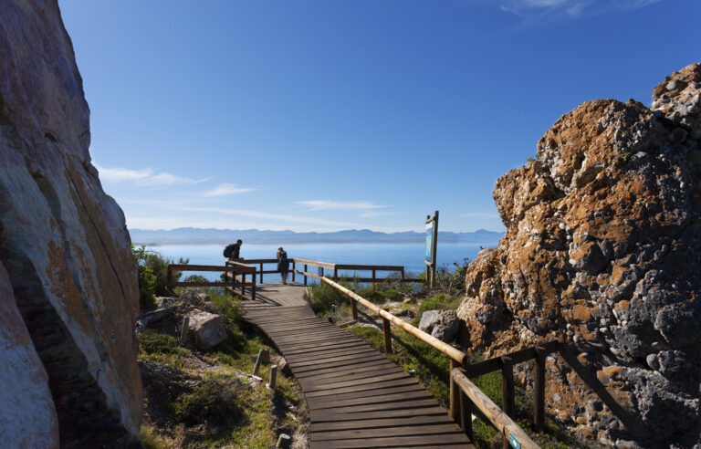 Chasing Trails – Plett Tourism launches Plett Trails App