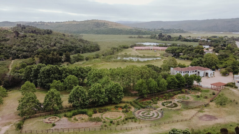 Kwendalo Brand Story