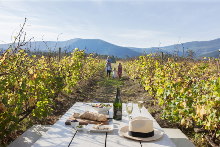 Plett Wine Route