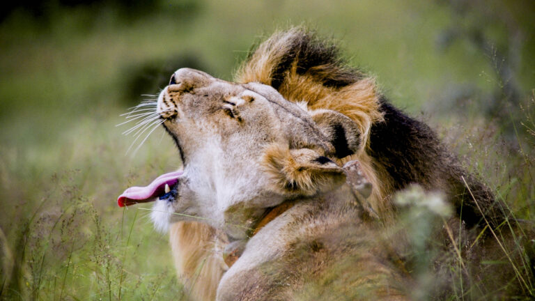 Addo Tourism Brochure